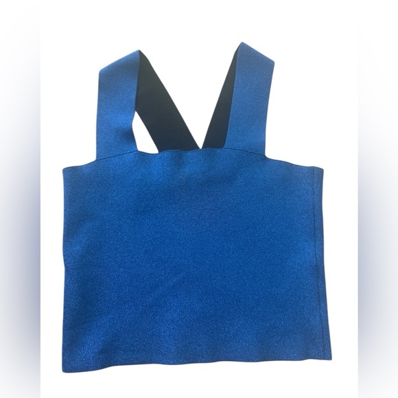 A.L.C. Blue Metallic La Top Size Large - Picture 6 of 6